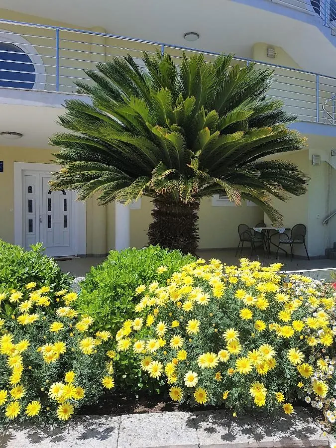Villa Maestral Zadar Apartment
